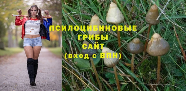 ECSTASY Верхний Тагил