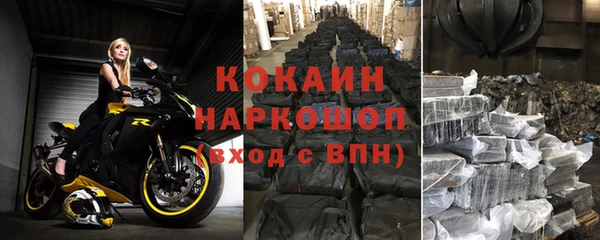 СК Кукмор