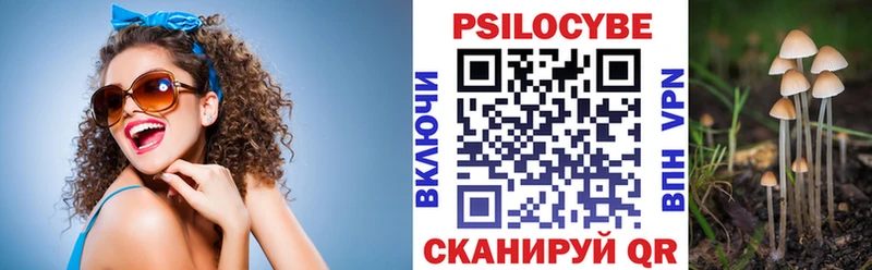 где найти наркотики  Елец  МЕГА рабочий сайт  Псилоцибиновые грибы ЛСД 