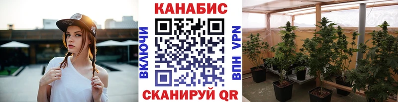 Бошки Шишки ГИДРОПОН  где можно купить наркотик  Елец 